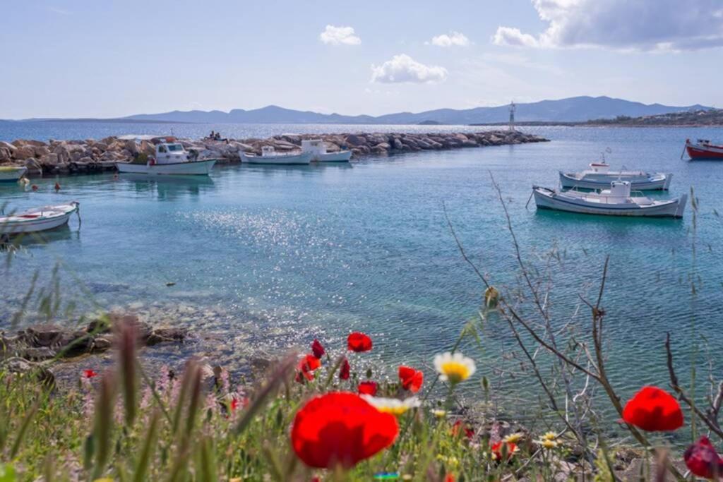 Exohiko Villa Aliki  Exterior photo